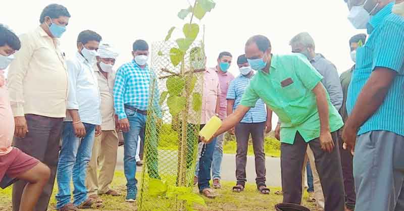 మొక్కల పెంపకాన్ని సామాజిక బాధ్యతగా చేపట్టాలి
