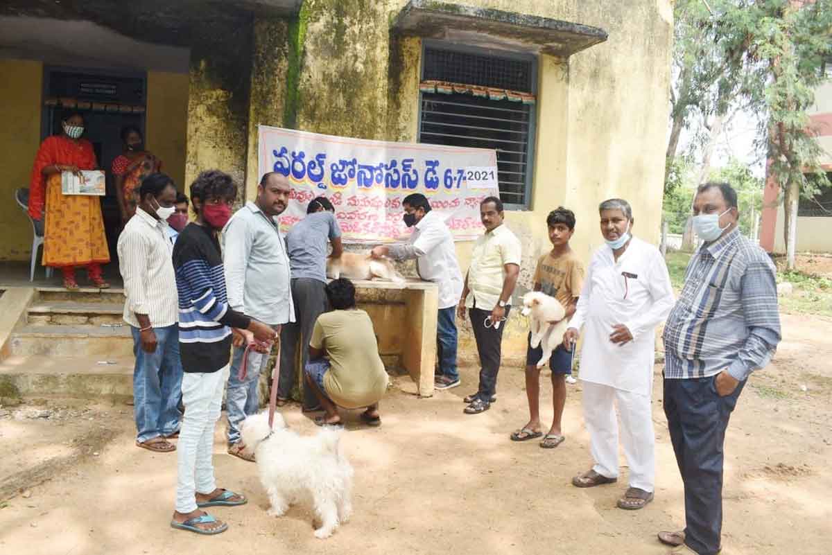పెంపుడు జంతువులకు టీకాలు వేయించాలి