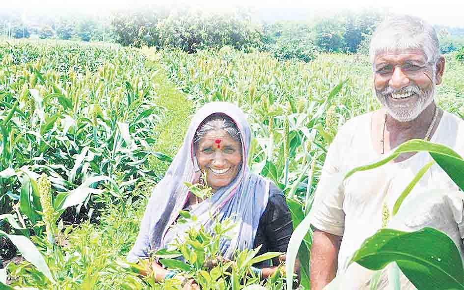 మన ముంగిట్లోకి ‘అగ్రి బ్లాక్‌చైన్‌’