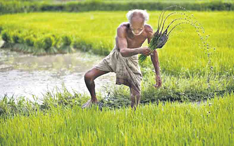 నేటినుంచి రైతు రుణమాఫీ