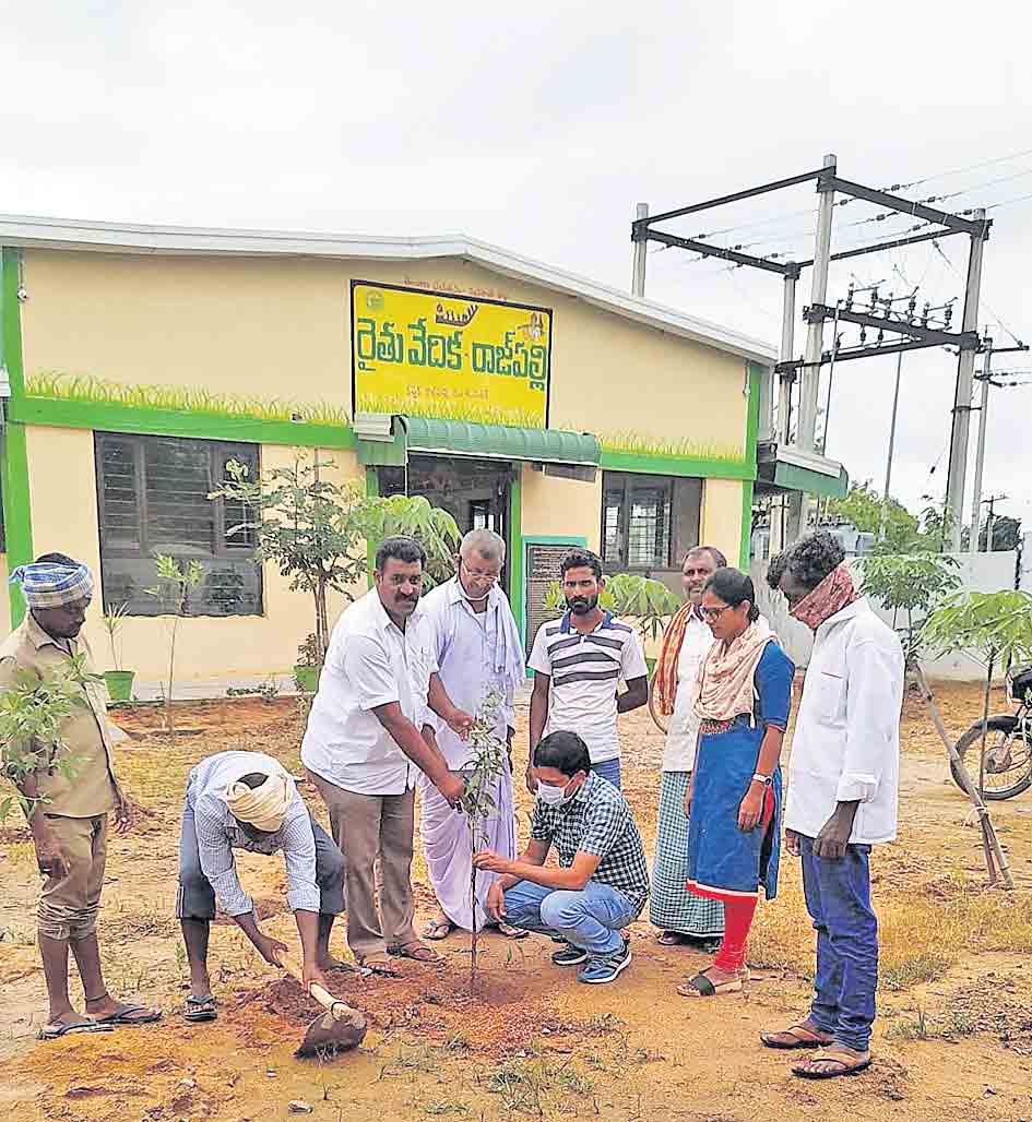 మొక్కలు నాటి సంరక్షించాలి