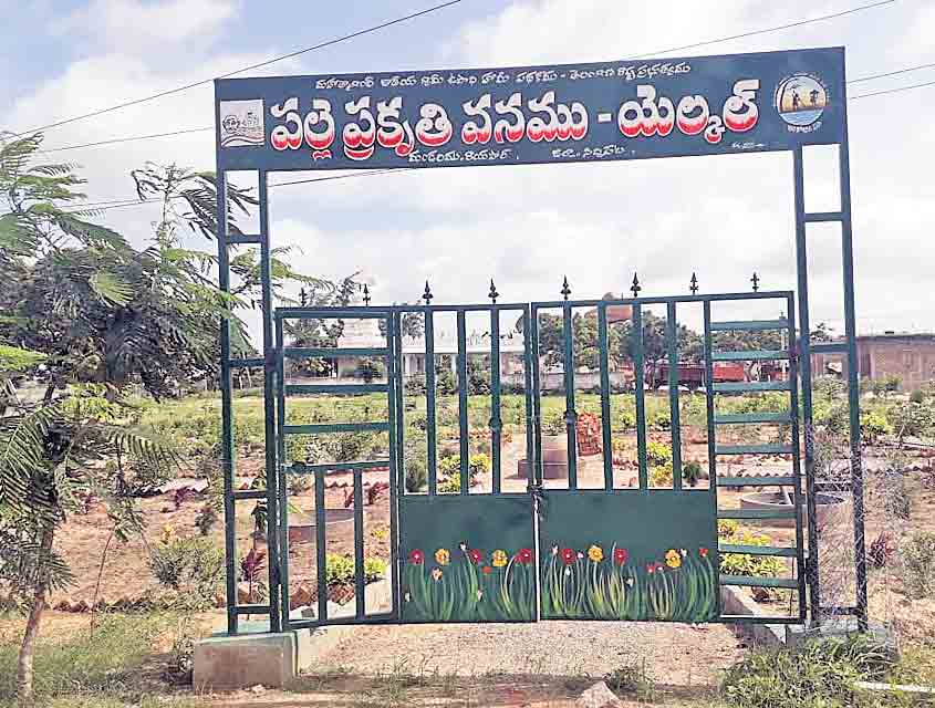 ‘ప్రగతి’ మార్చేసింది