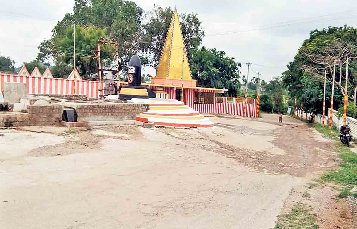 సొంతూరి సేవలో..