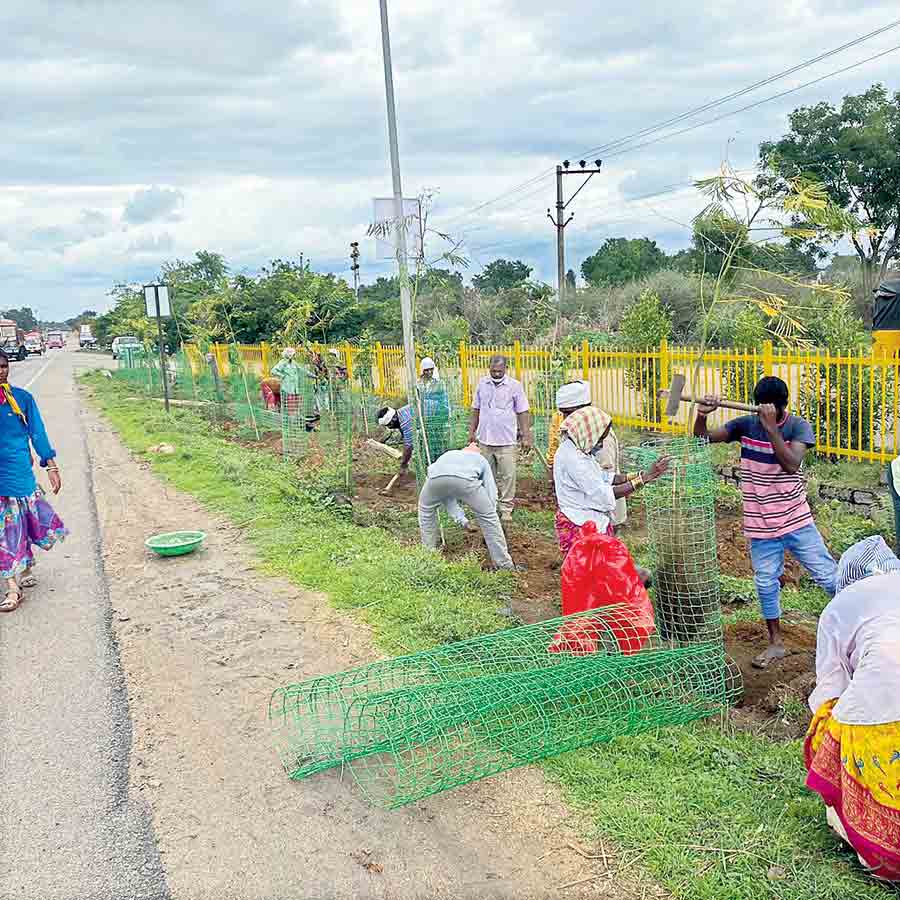 పచ్చందాల ప్రయాణం