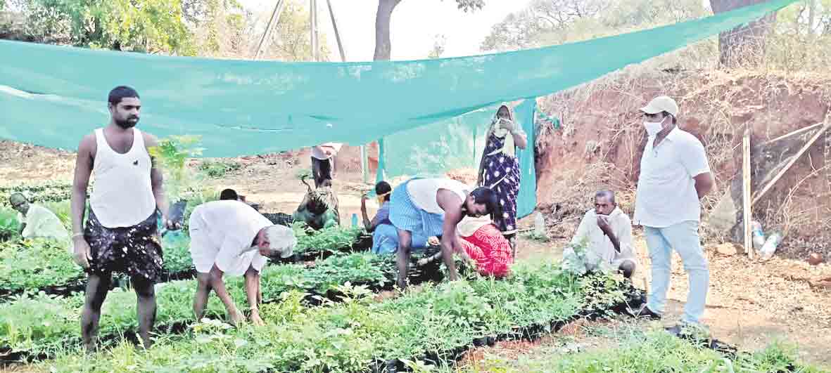 ప్రగతి దిశగా