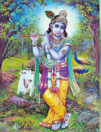 కృష్ణలీల… ఆనందహేల