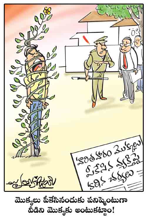 డైలీ కార్టూన్‌ 03-08-2021