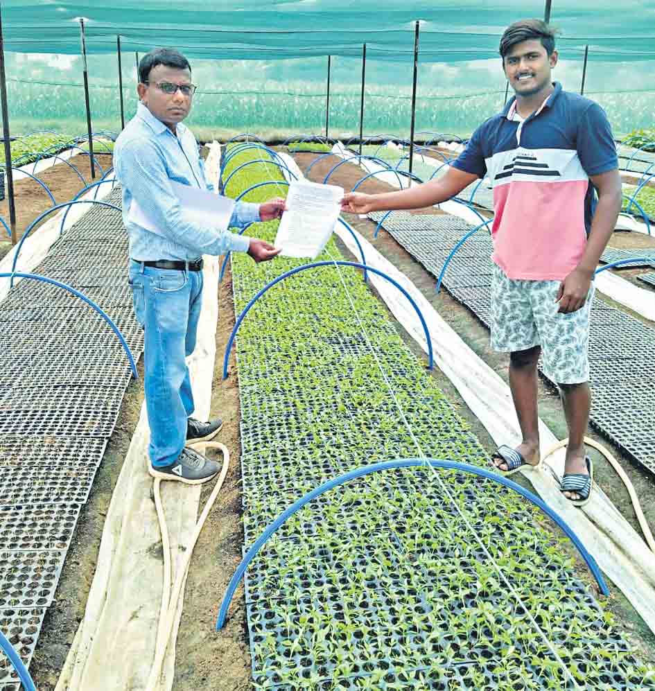 నర్సరీలకు లైసెన్స్