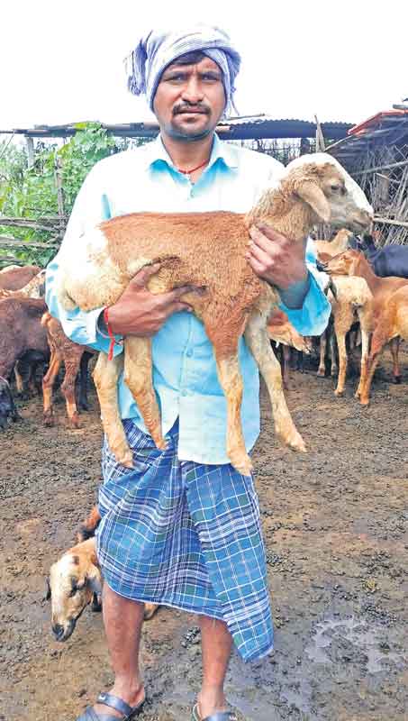 పెంచిన రాబడి ప్రజలకే!