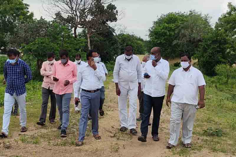 ఆయిల్‌పామ్‌ సాగుతో అధిక లాభాలు