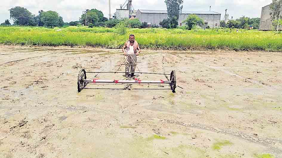 సిరుల పంట.. ఒంటికర్ర సాగు