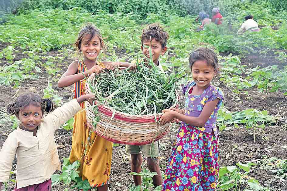 రాయలసీమ నుంచి సంగారెడ్డికి వలస