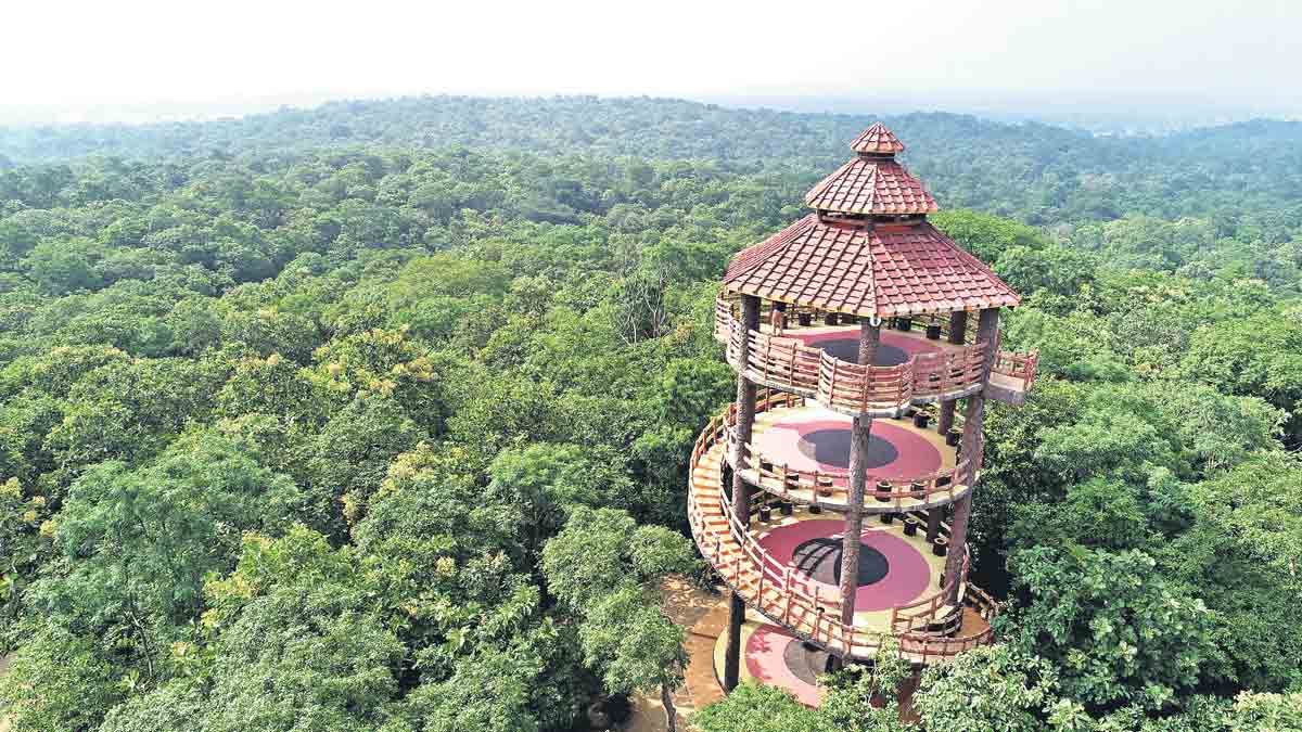 వీకెండ్‌ స్పాట్‌నర్సాపూర్‌ ఫారెస్ట్