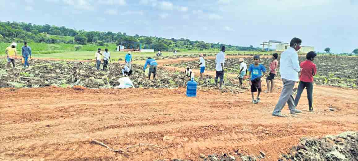 బృహత్‌ వనం.. మరింత పచ్చదనం