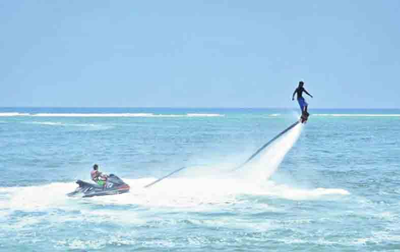 జల విహంగం..