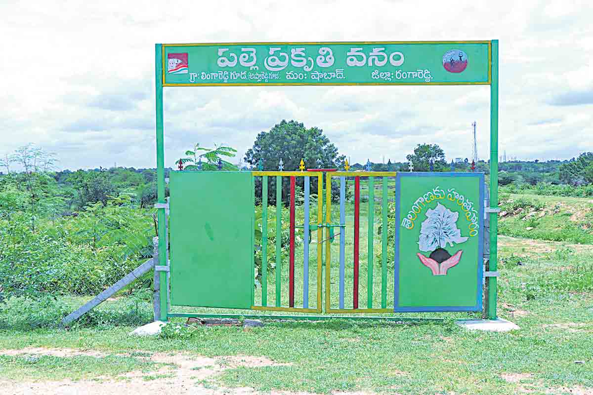 ప్రగతి మరిసె.. పల్లె మురిసె