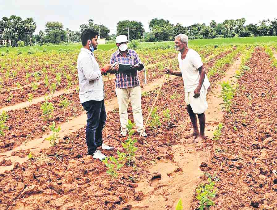 పక్కాగా.. సాగు లెక్క
