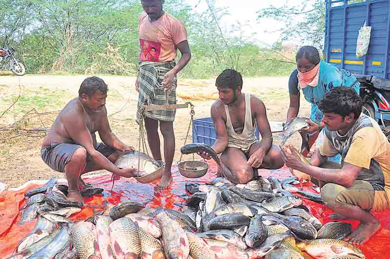 ఇంతింతై మూడింతలై..