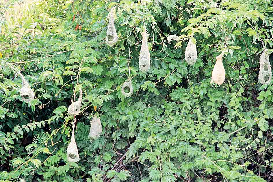 దృశ్యం పదిలం