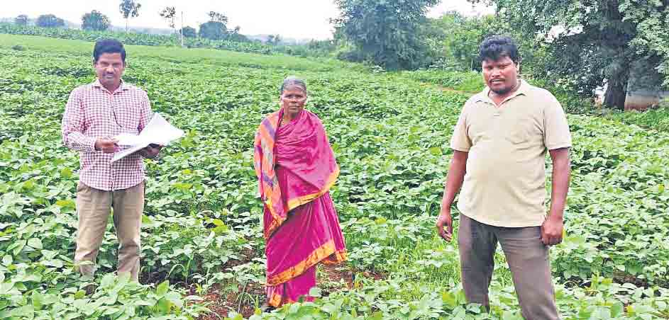 ఏ గుంటలో.. ఏమేసిండ్రు..!