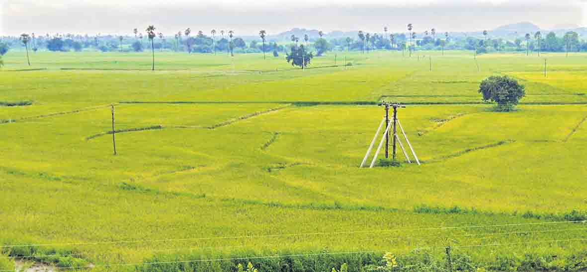 రైతన్నలూ జర భద్రం..!
