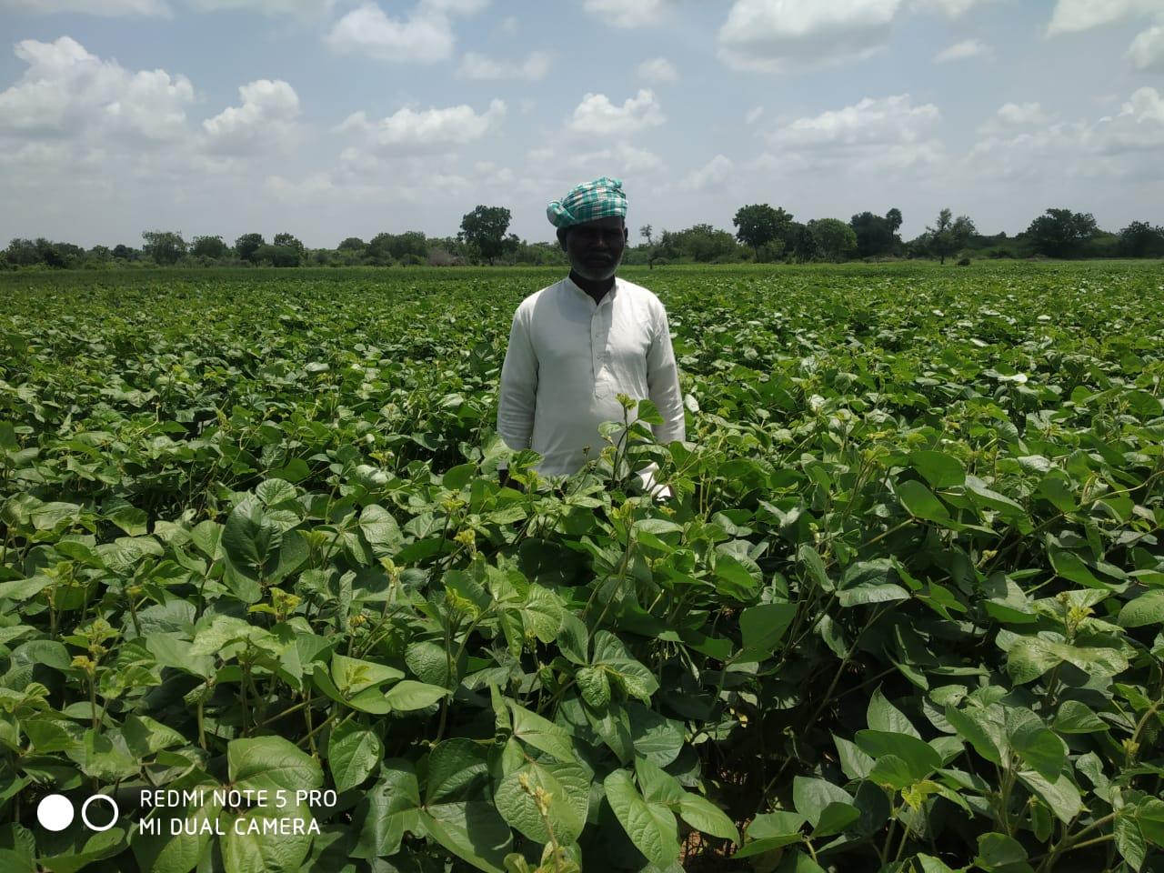 మోసపోయిన రైతు