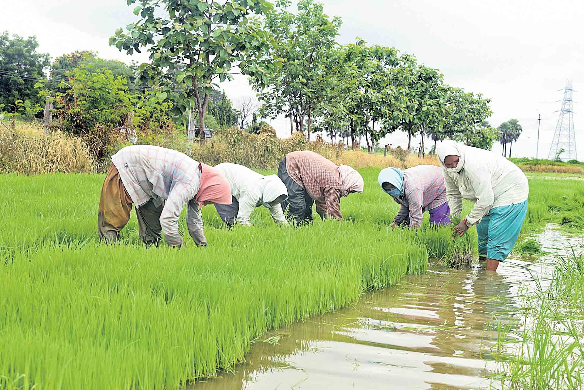 కోటి ఎకరాలు దాటిన సాగు