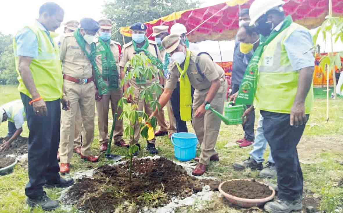 మొక్కలతో పర్యావరణ పరిరక్షణ