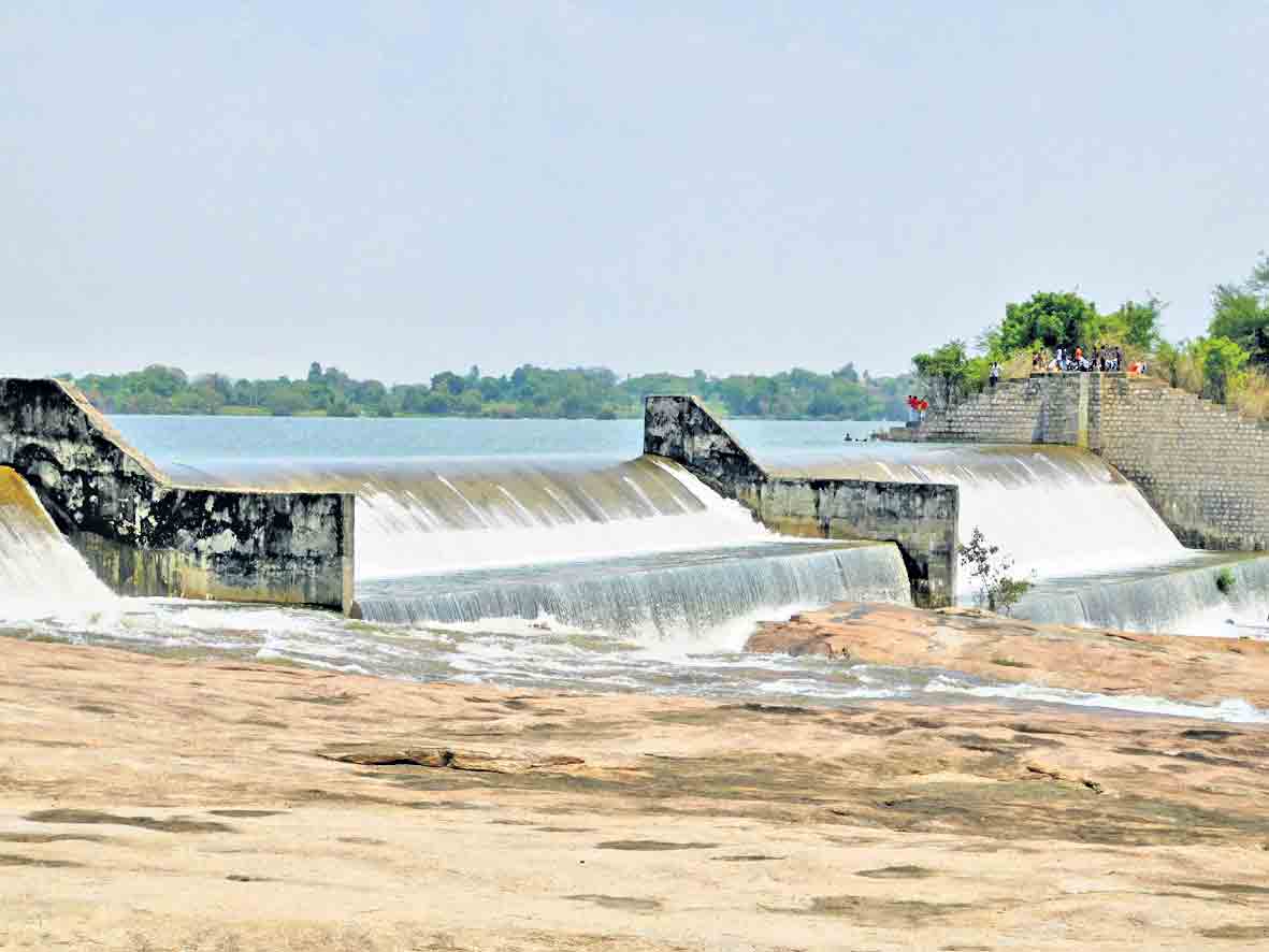 ఇక జీవనదిగా హల్దీవాగు