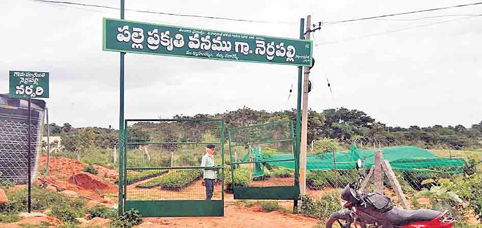 చిన్న ఊరు.. అభివృద్ధి ఘనం