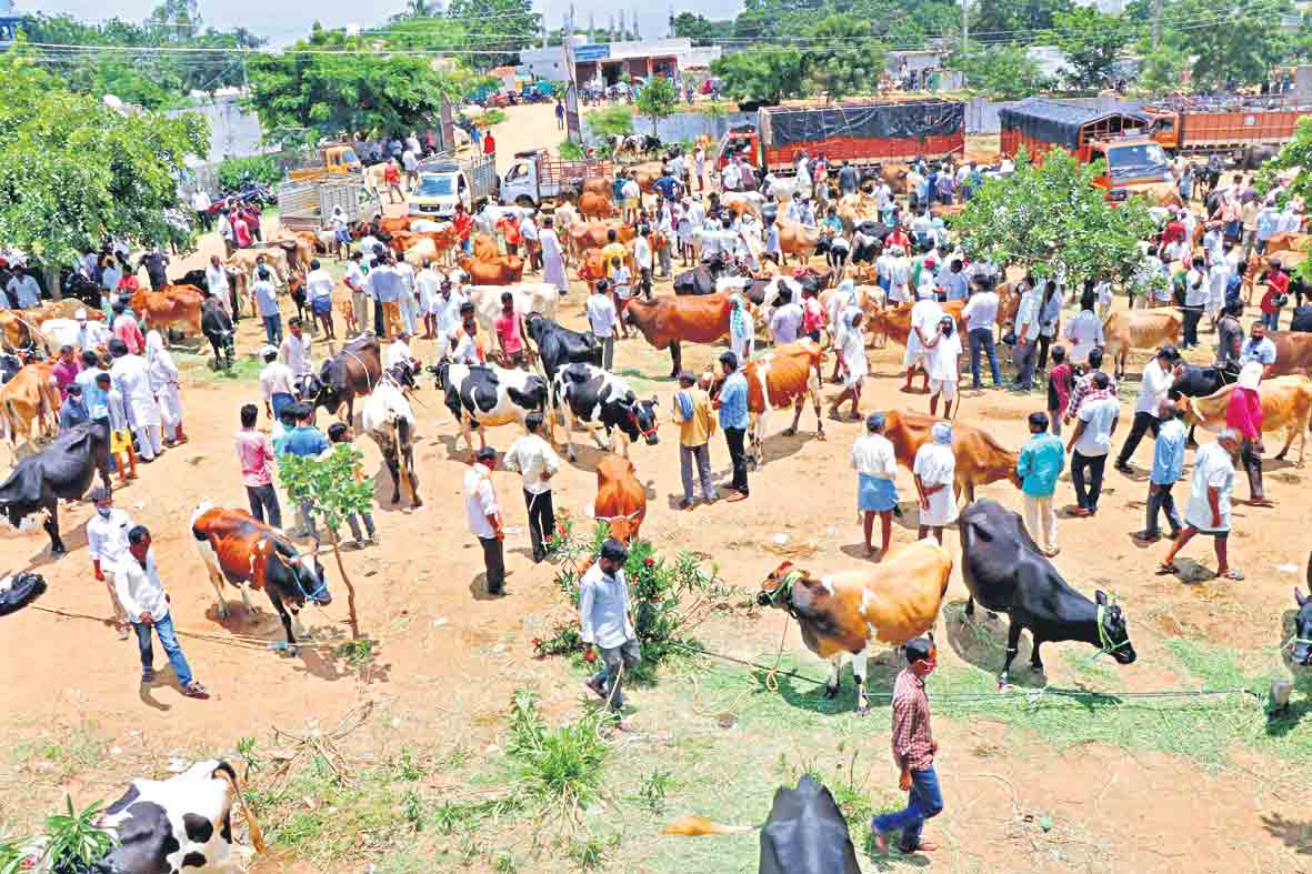 సంతా మా ఊరి సంతా..