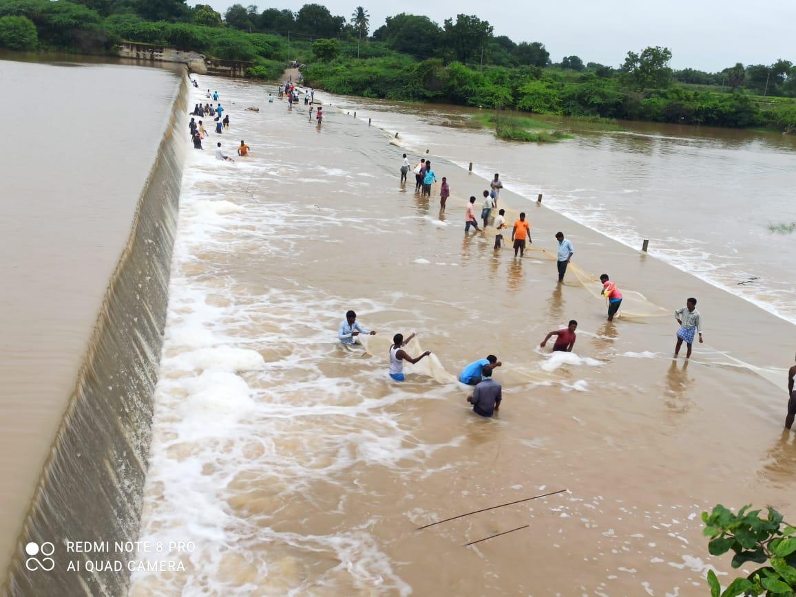 మత్తడి దూకింది..మత్స్యం ఎగిరింది..!