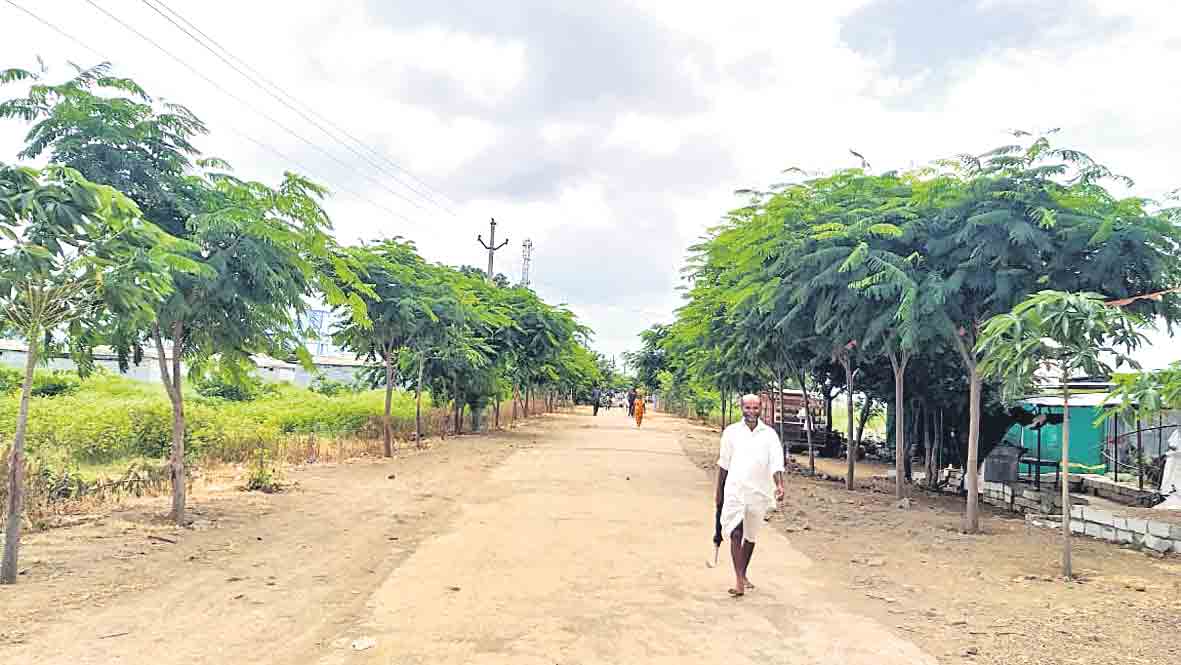 ఎన్నారంలో ప్రగతి కోటి