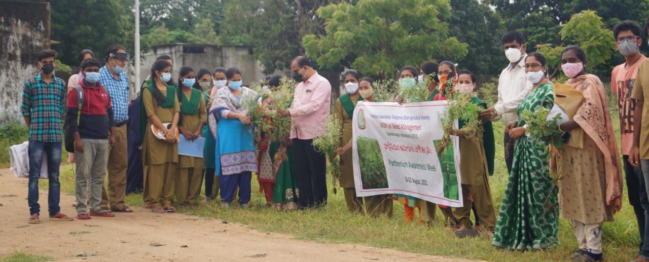 వయ్యారిభామ పంటకు ప్ర‌మాద‌కారి