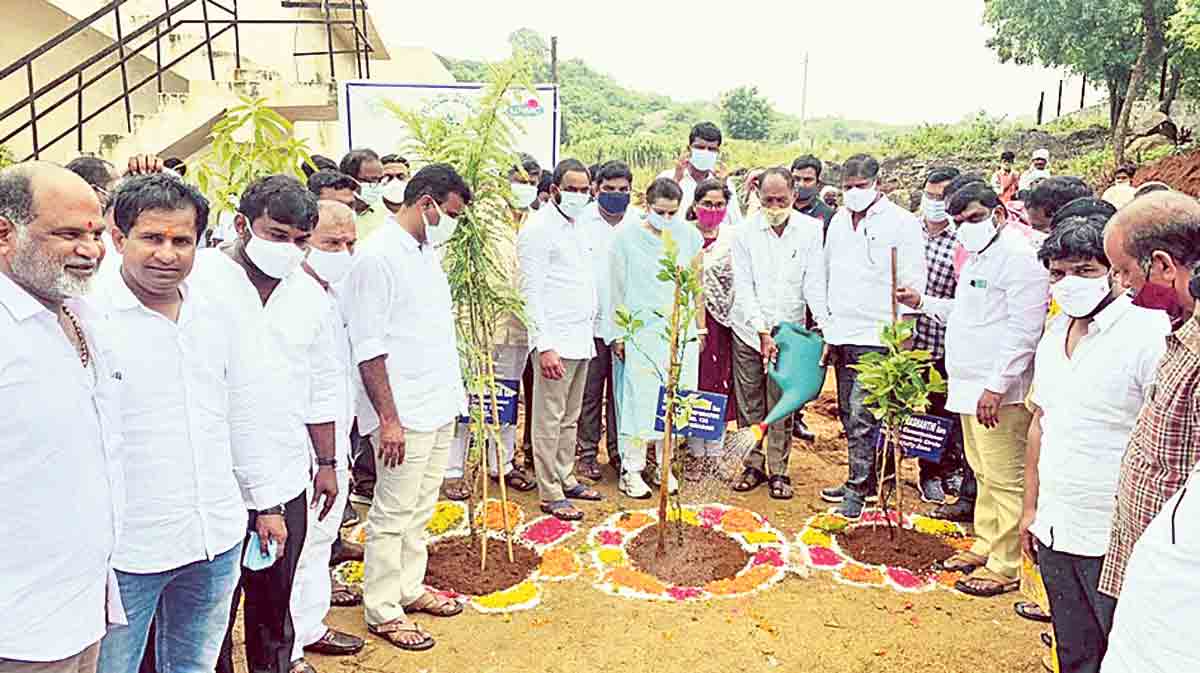 కాలుష్యాన్ని అరికట్టేందుకు మొక్కలు నాటాలి
