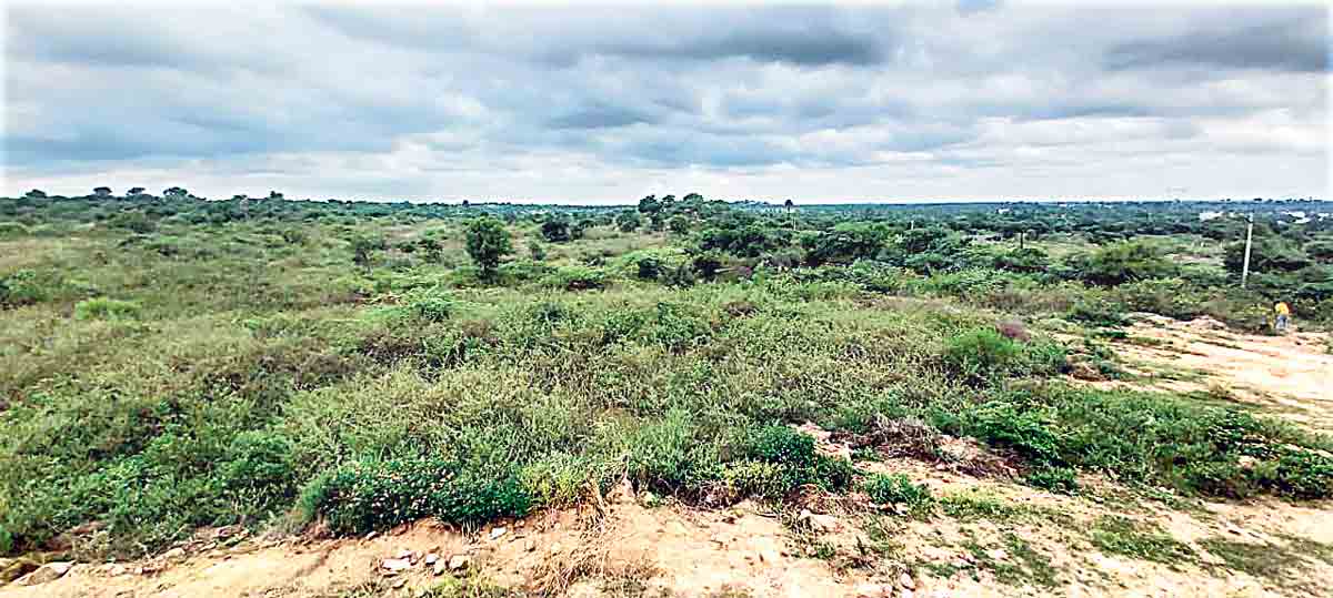 మాదారం పార్కు.. మేడ్చల్‌కు మార్కు