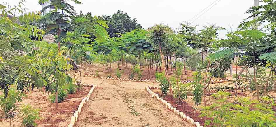 అభివృద్ధి పథంలో.. గొలనుకొండ