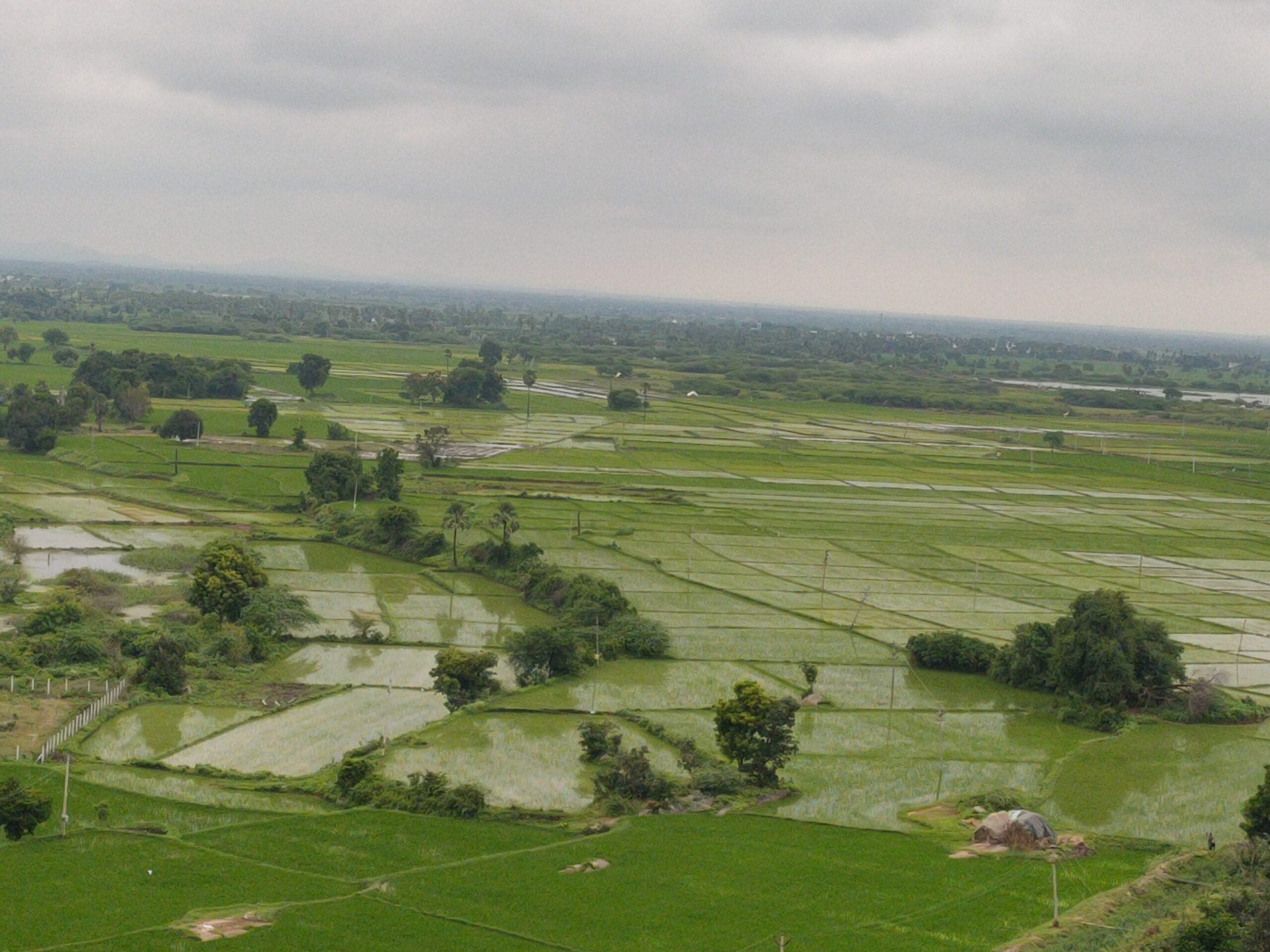 హుస్నాబాద్ టౌన్: పుడమికి పచ్చకోక