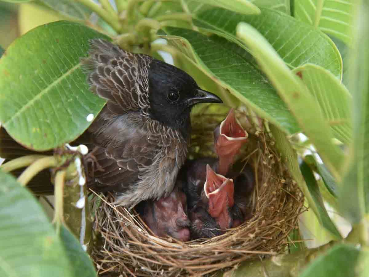 World Photography Day | నేడు ప్రపంచ ఫొటోగ్రఫీ దినోత్సవం సందర్భంగా కొన్ని ఫొటోలు మీ కోసం..