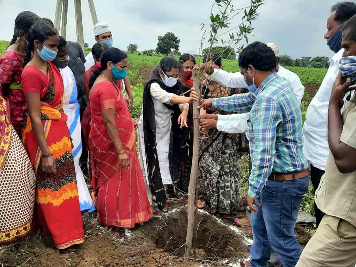 మొక్కలు నాటి పచ్చదనాన్ని పెంపొందించాలి.. వికారాబా‌ద్‌ కలెక్టర్‌ పౌసుమిబసు
