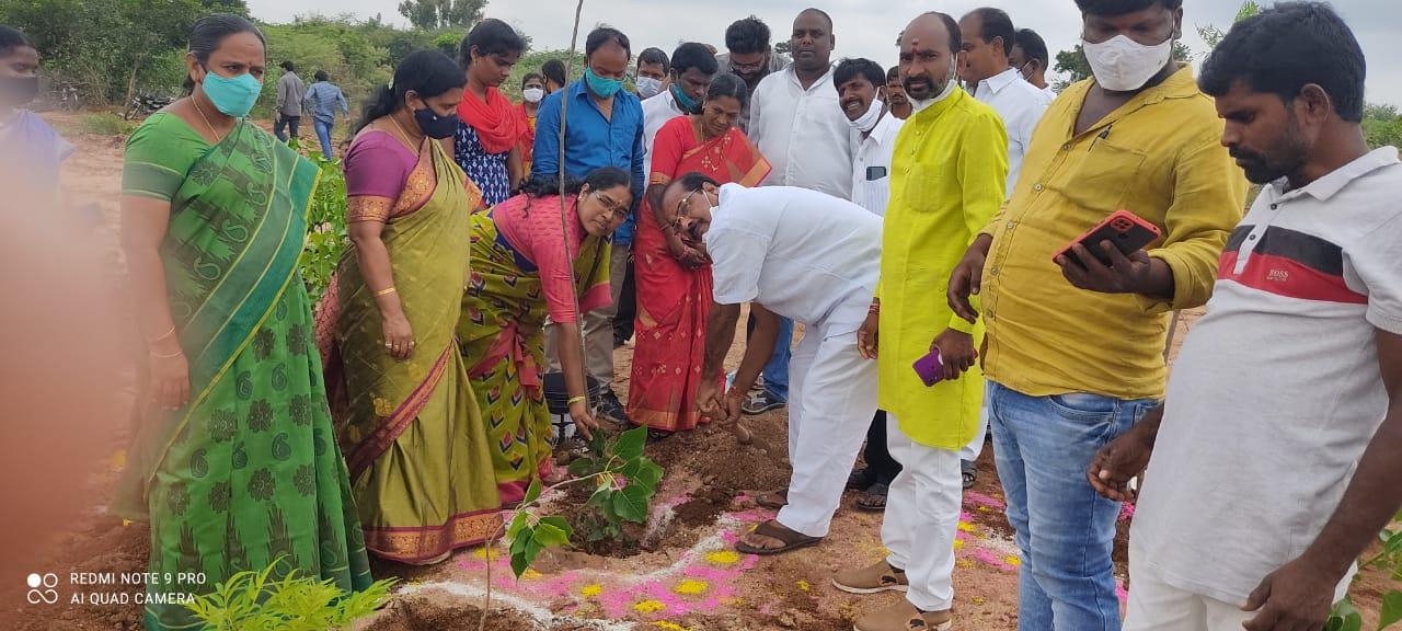 ప్రకృతివనాల ఏర్పాటుతో గ్రామాల‌కు కొత్తరూపు