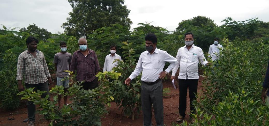 గ్రామాన్ని పరిశుభ్రంగా ఉంచుకోవాలి      వికారాబా‌ద్‌ జిల్లా అదనపు కలెక్టర్‌ చంద్రయ్య