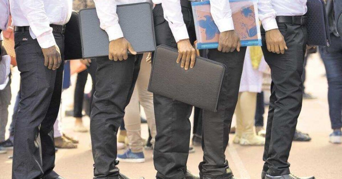 కొలువులకు రాచబాట..