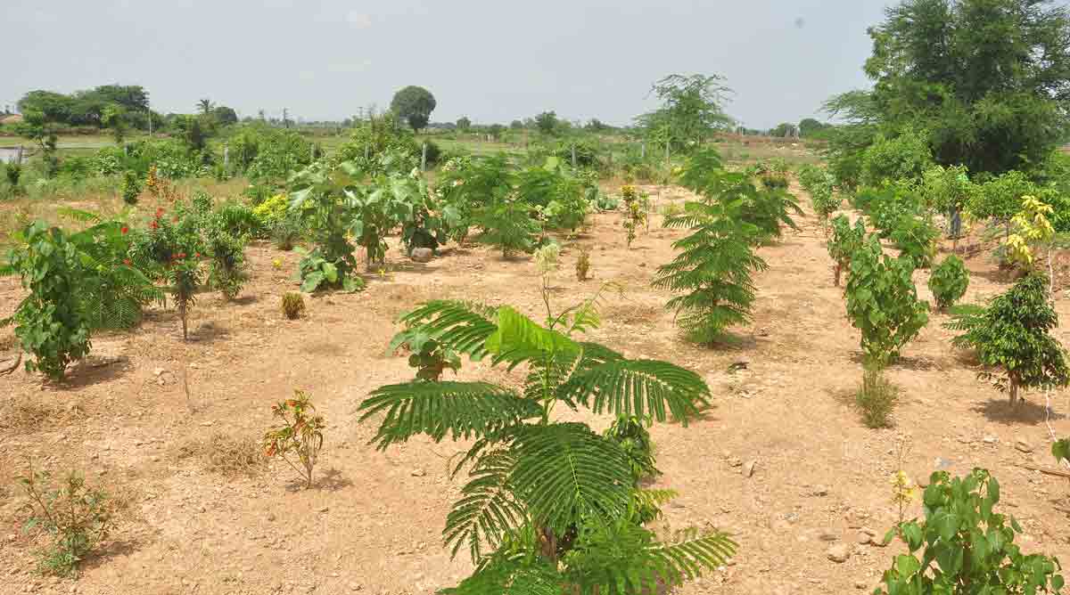 ప్రగతి మలుపులో రోళ్లవారిగూడెం