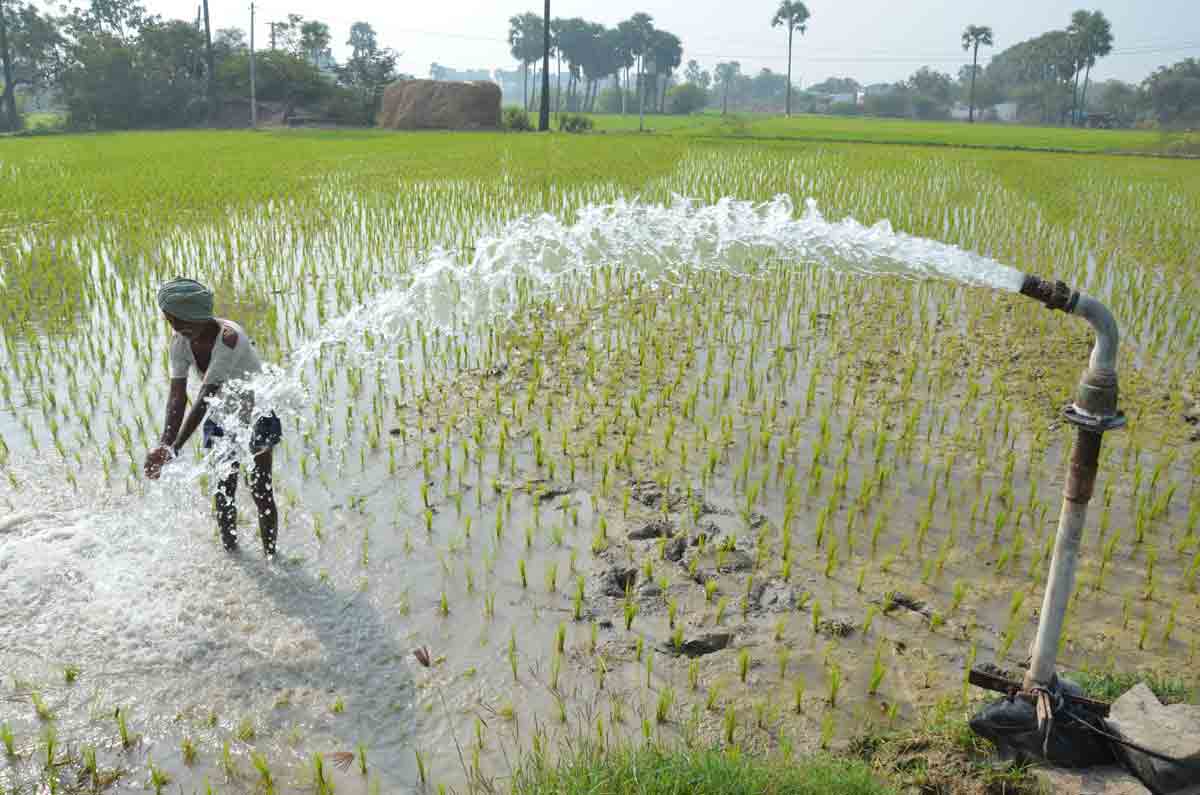 2 మీటర్ల లోపే నీళ్లు