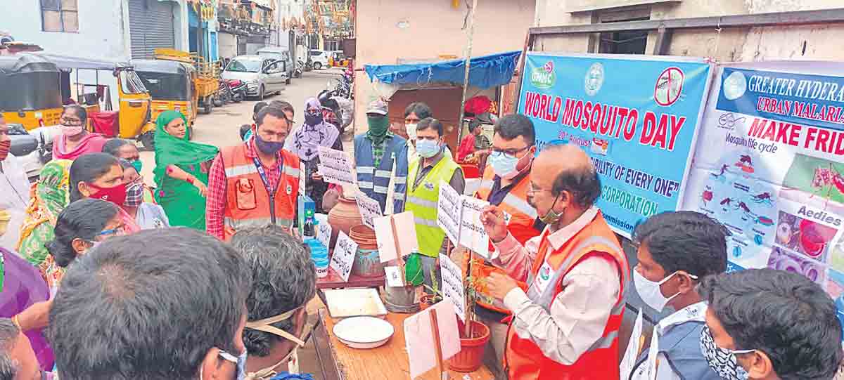 దోమల నియంత్రణ మన చేతిలోనే ఉంది
