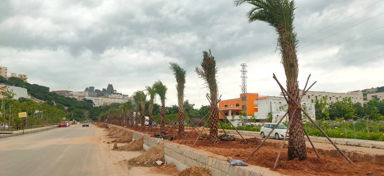 Yadadri | కొండ చుట్టూ విశాలమైన రహదారులు.. ఆహ్లాదాన్ని పంచే మొక్కలు..