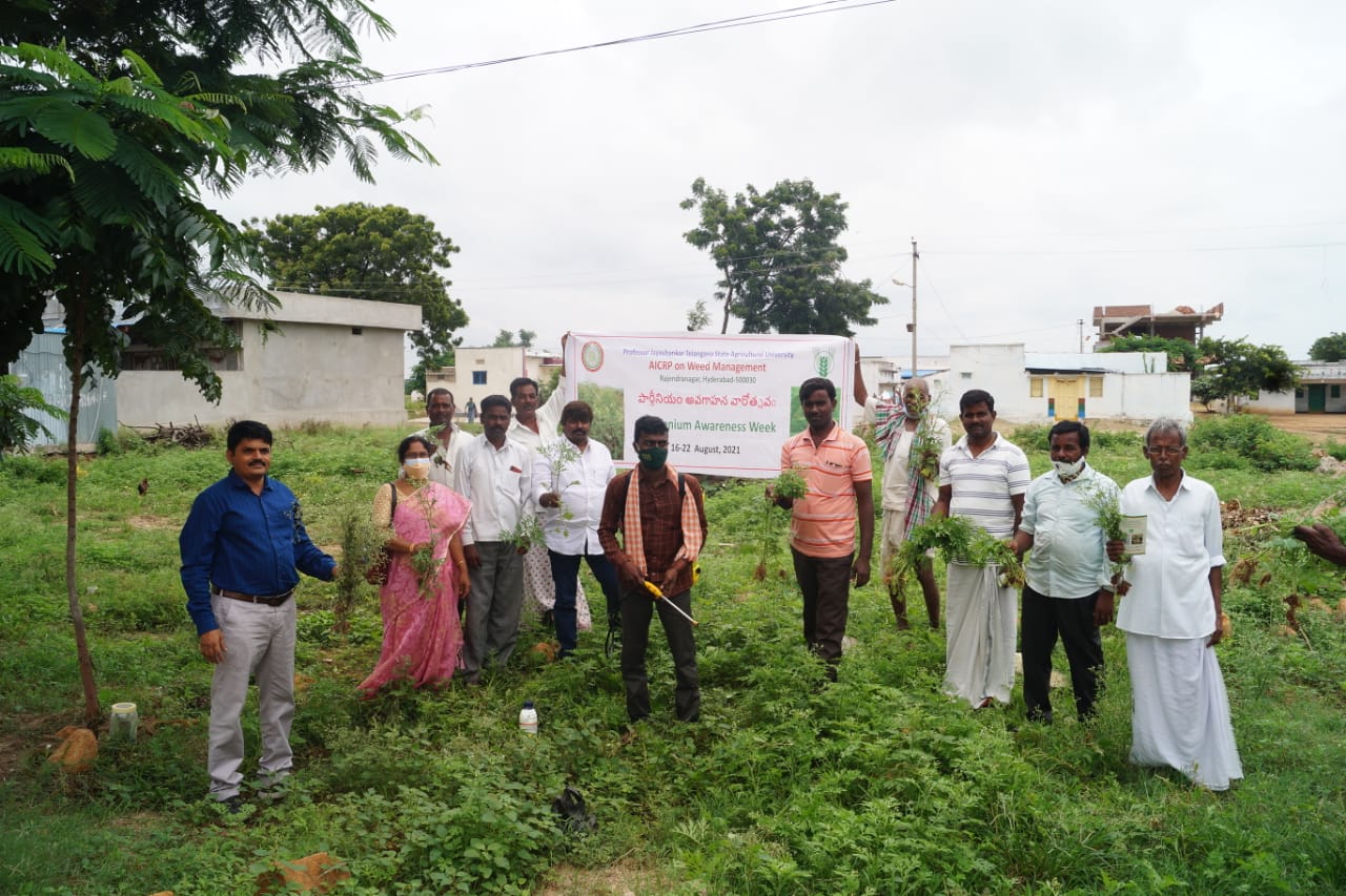 కలుపు నివారణలో మెలకువలు పాటించాలి