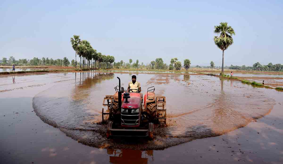 కేజ్‌ వీల్స్‌తో జాగ్రత్త