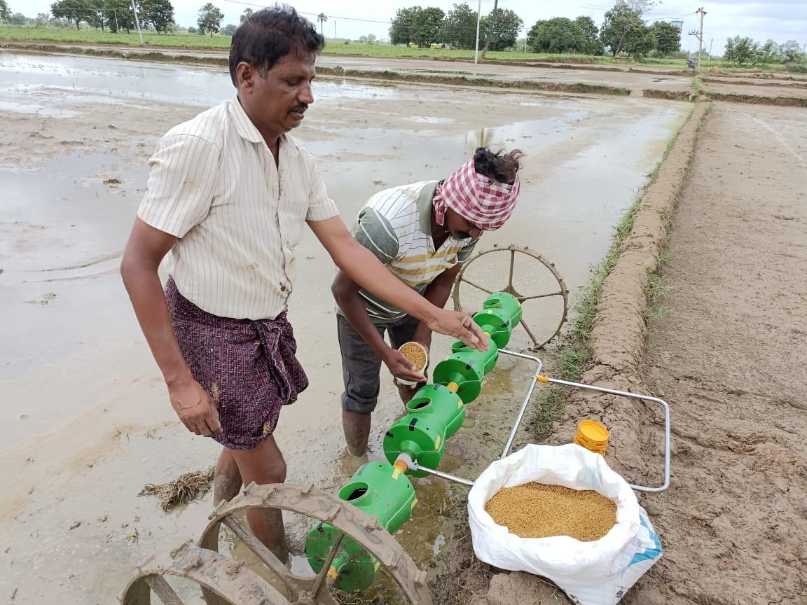 సరికొత్తగా వరి